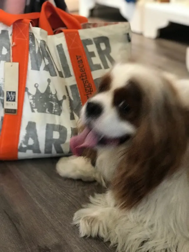 *Custom Made/Limited Run* Cavalier King Charles Ultra Light Tyvek® Reversible Tote Bag