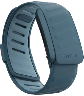 Dash SportFlex Band