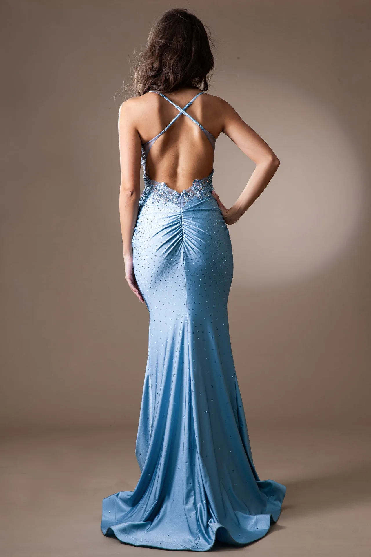 Embroidered Sheer Bodice Open Back Straight Across Long Prom Dress