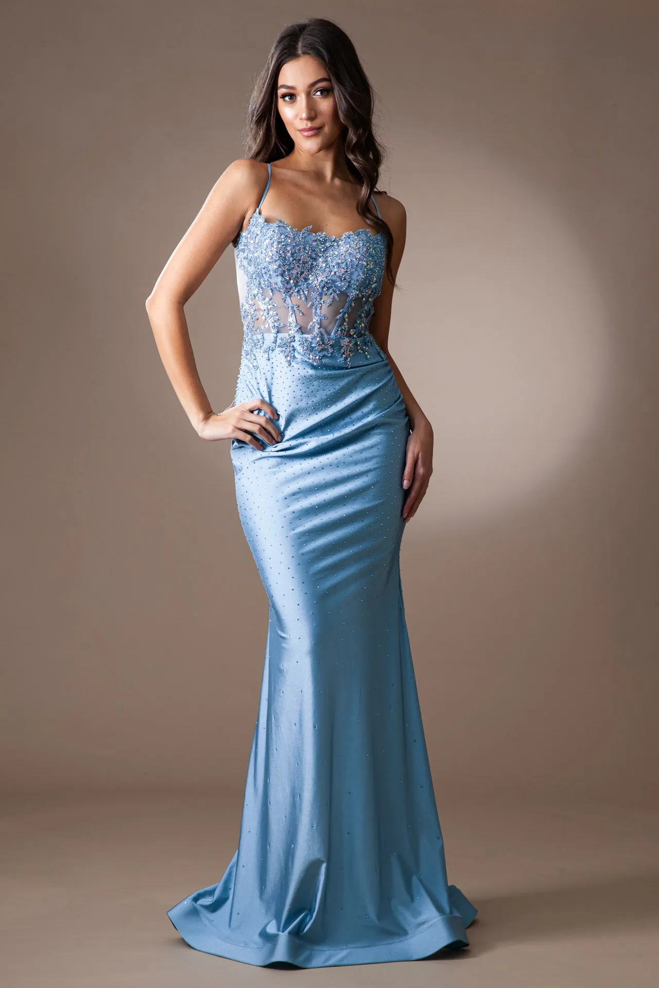 Embroidered Sheer Bodice Open Back Straight Across Long Prom Dress